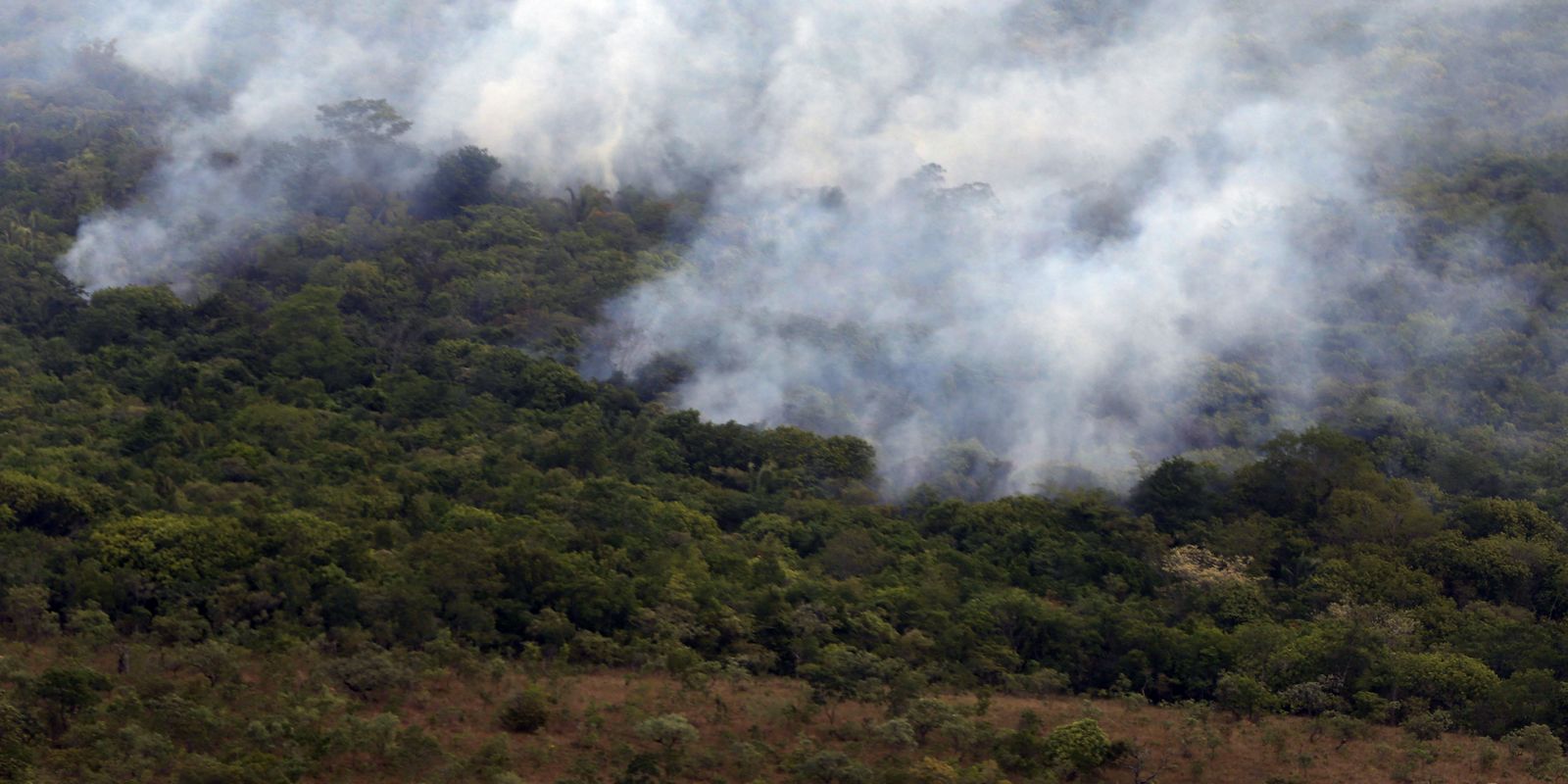 brasil-queimou-mais-de-185-milhoes-de-hectares-de-biomas-em-38-anos