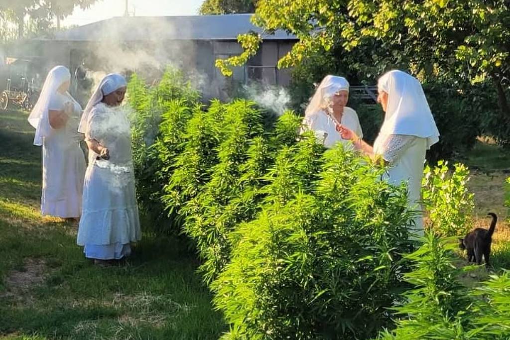 quem-sao-as-freiras-maconheiras-que-inspiraram-paul-thomas-anderson?