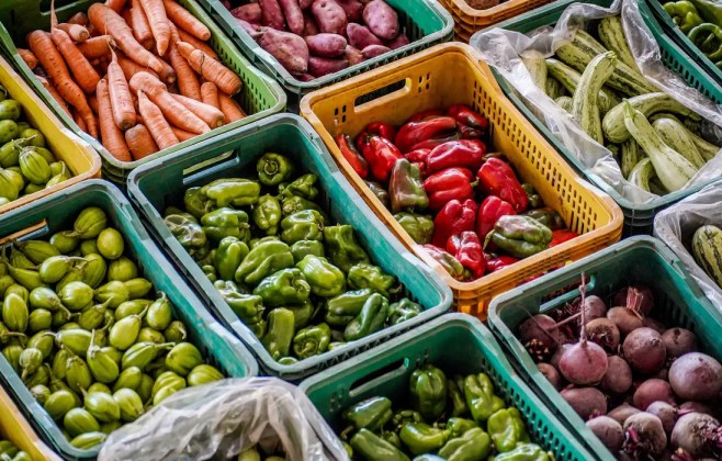 metade-dos-brasileiros-ainda-desconhece-o-que-sao-sistemas-alimentares-sustentaveis,-mostra-pesquisa