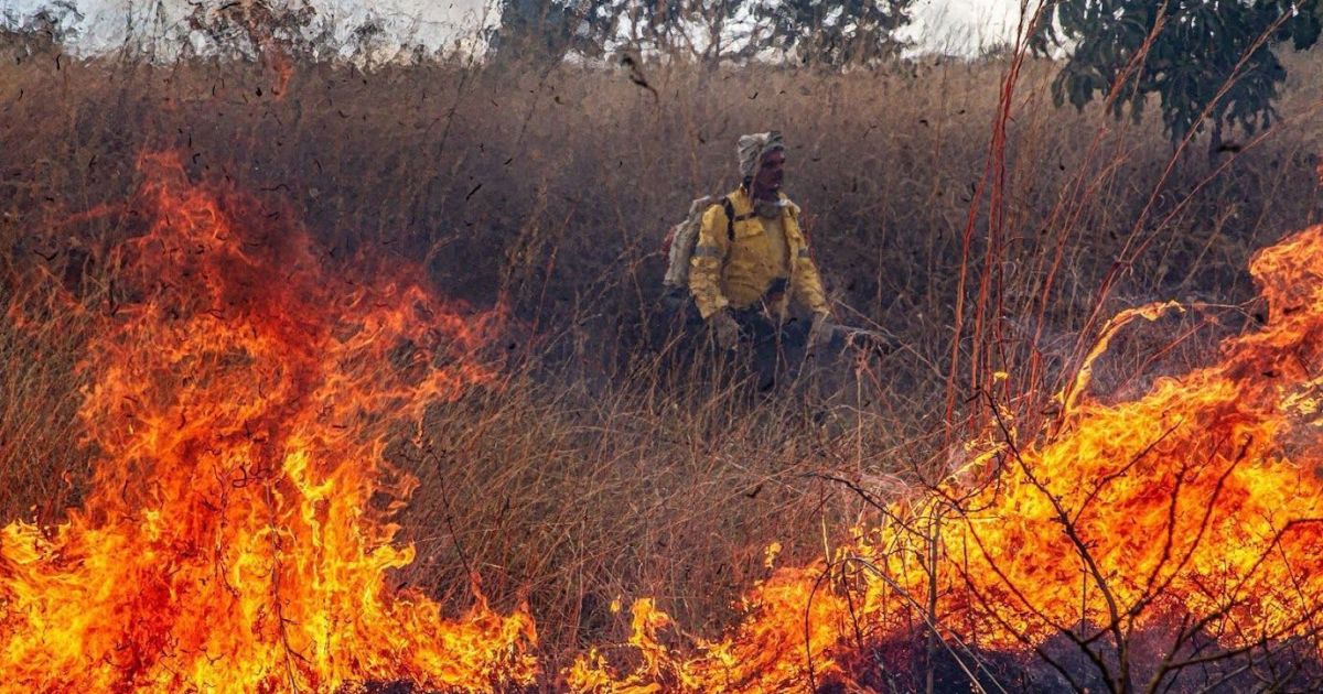 raio-provoca-foco-de-incendio-no-parque-nacional-da-chapada-dos-veadeiros