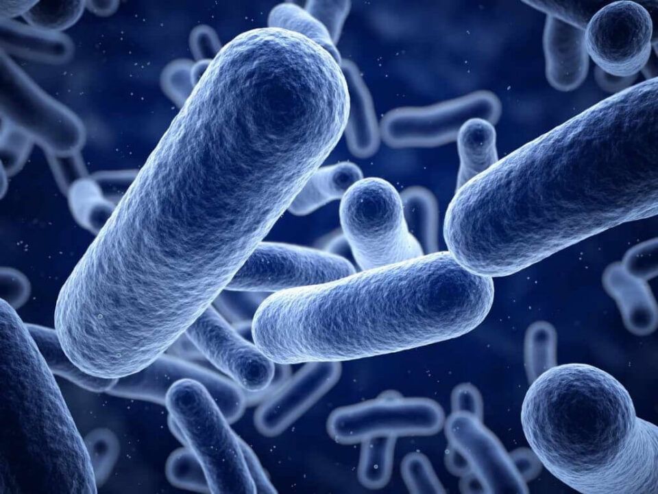 eua-enfrentam-surto-de-listeria