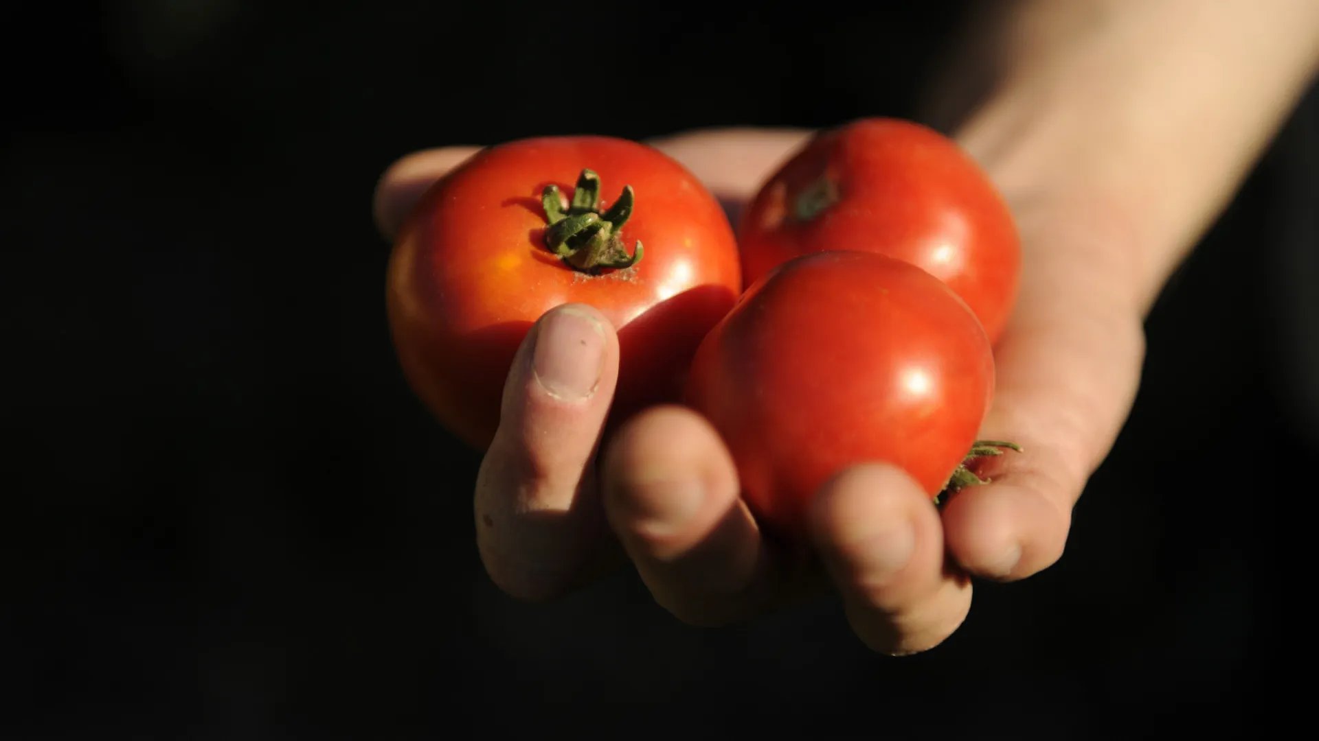alimentos-do-dia-a-dia-que-antes-eram-considerados-improprios-para-consumo