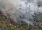 amazonia-bate-limite-de-1,5oc-acima-da-temperatura-media-pela-primeira-vez