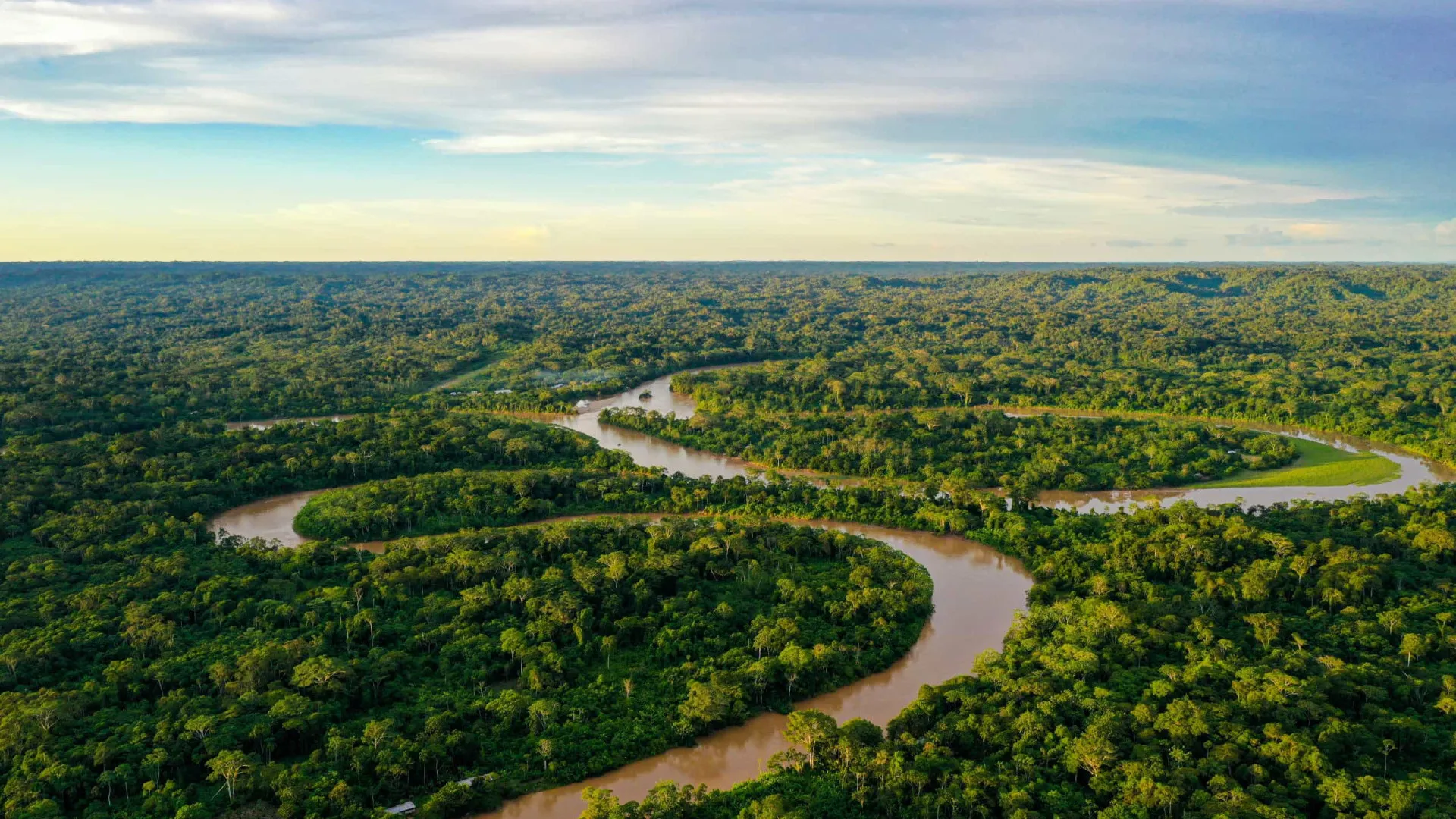 entenda-como-funciona-o-fundo-florestas-tropicais-para-sempre