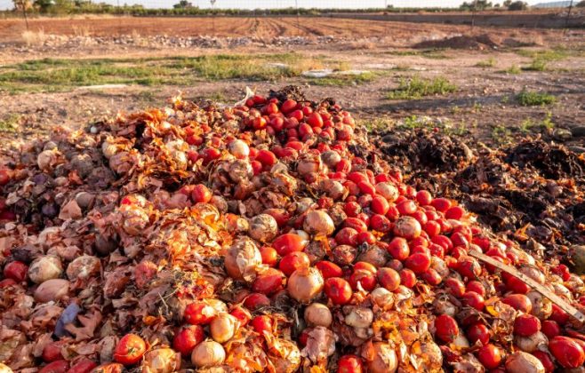 projeto-torna-crime-o-descarte-de-alimentos-aptos-para-consumo