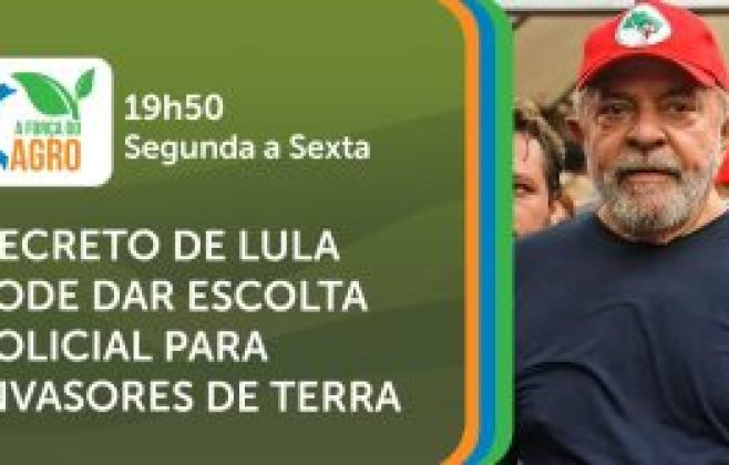 arizona-paes-quebra-tradicao-e-conquista-o-padocaria-sp-2025
