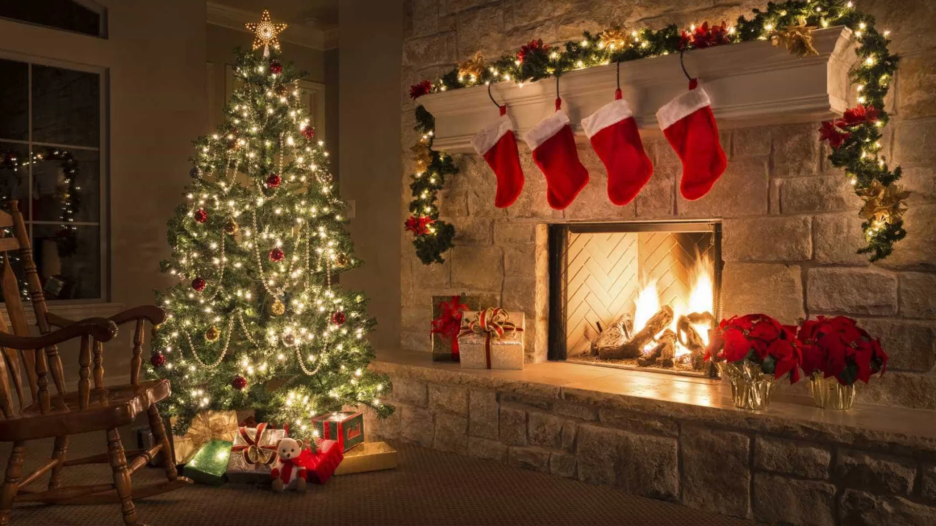 conheca-a-historia-da-arvore-de-natal,-simbolo-das-festas-natalinas