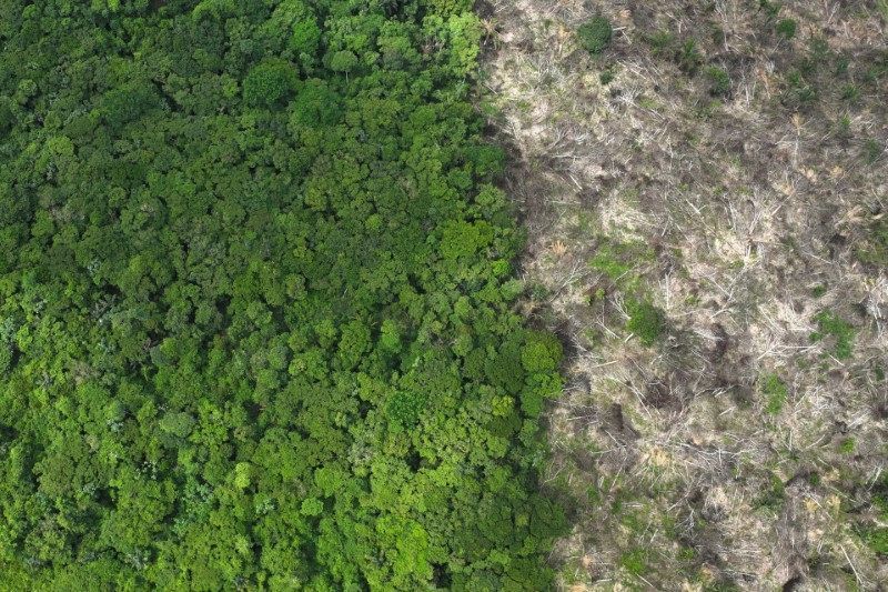 dados-do-ibge-indicam-crescimento-de-area-para-pastagem-no-brasil