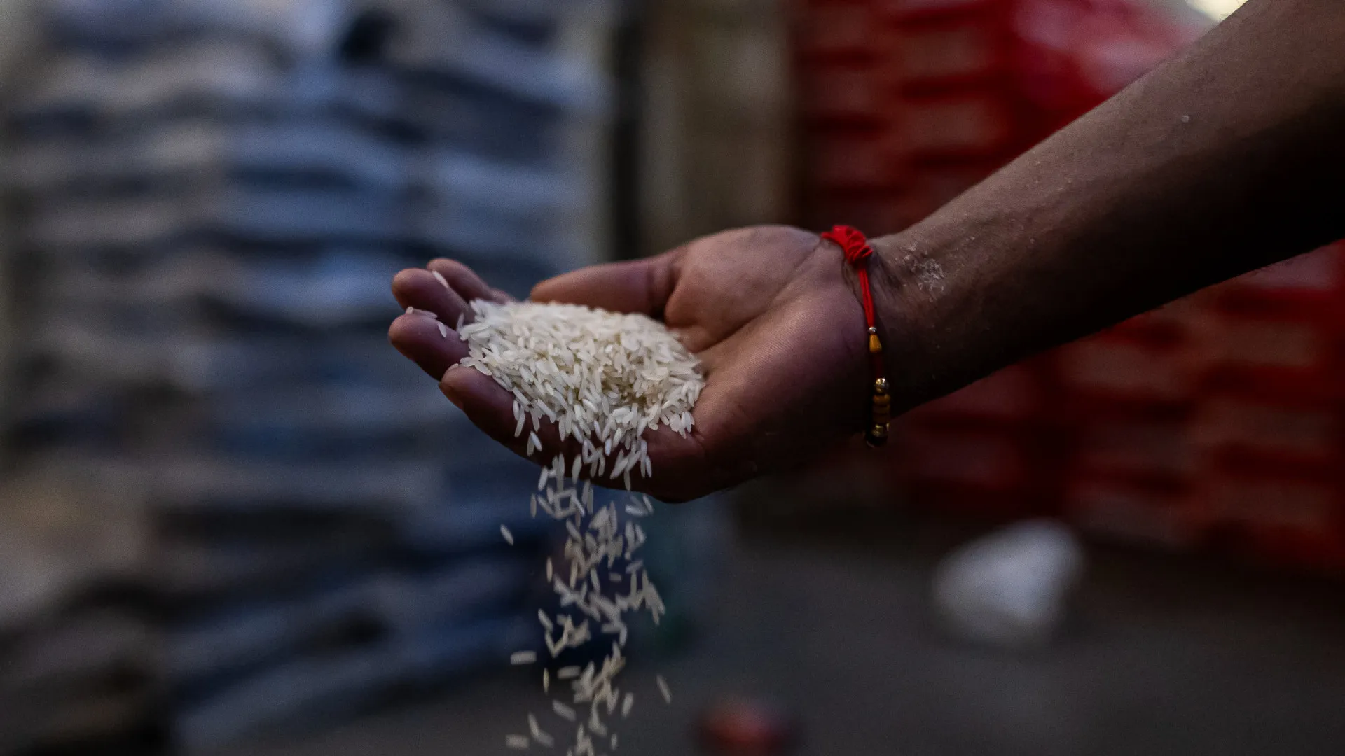 esses-alimentos-sobreviverao-ao-apocalipse