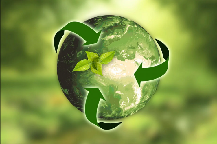 os-avancos-na-bioeconomia-brasileira