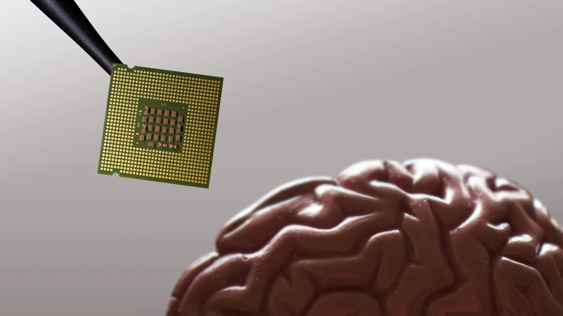 musk-quer-acelerar-procedimento-para-colocar-‘chips’-em-cerebros-humanos
