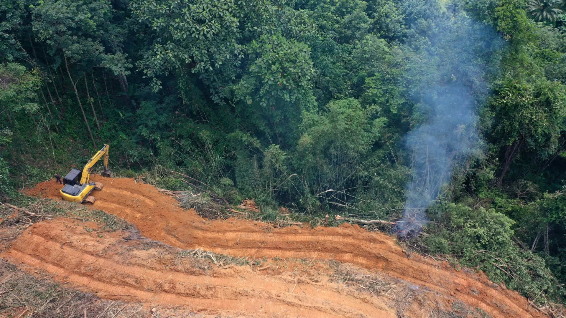 desmatamento-cai-9%-na-amazonia-e-no-cerrado-em-2025