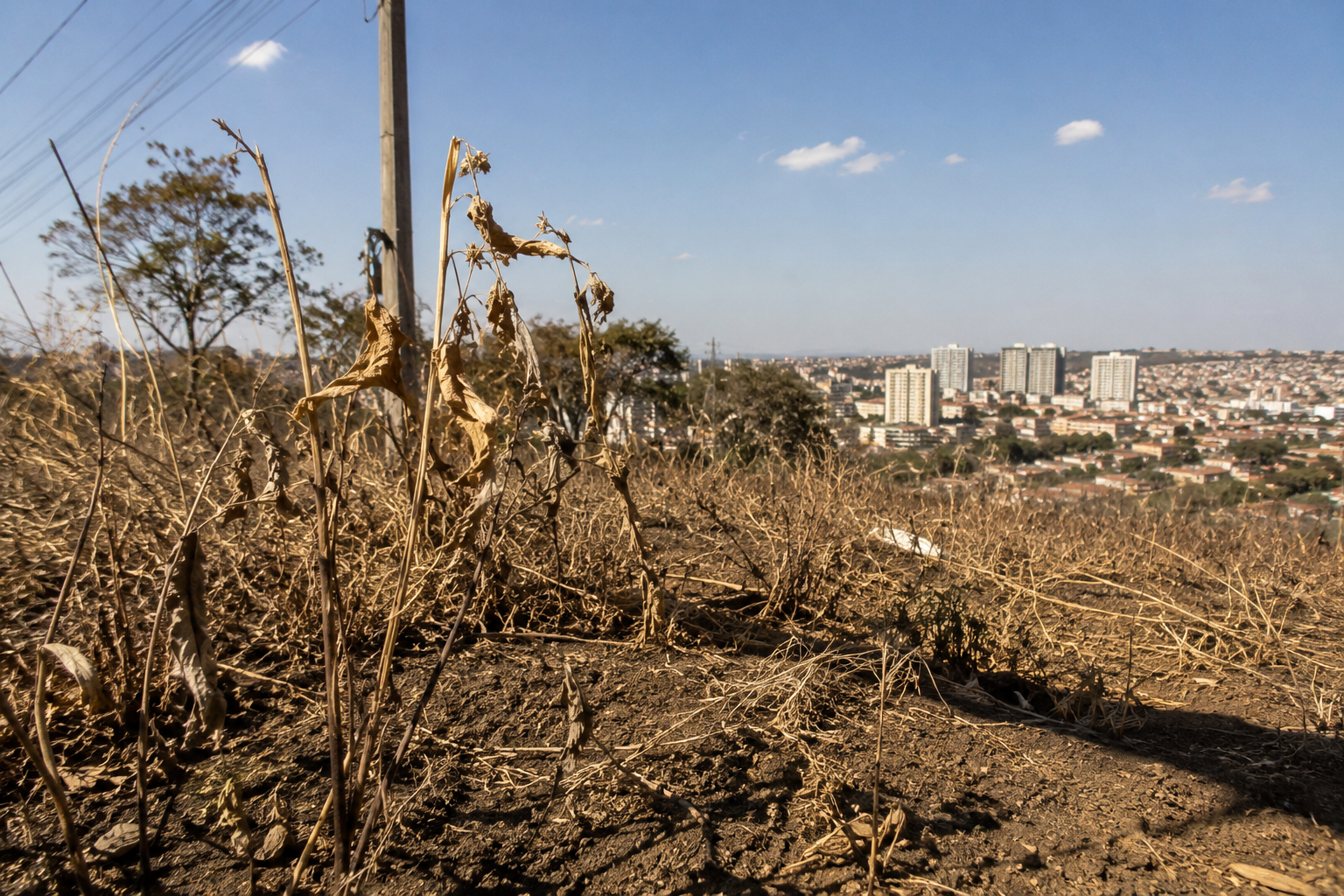 defesa-civil-alerta-para-aumento-do-risco-de-incendios-em-sao-paulo