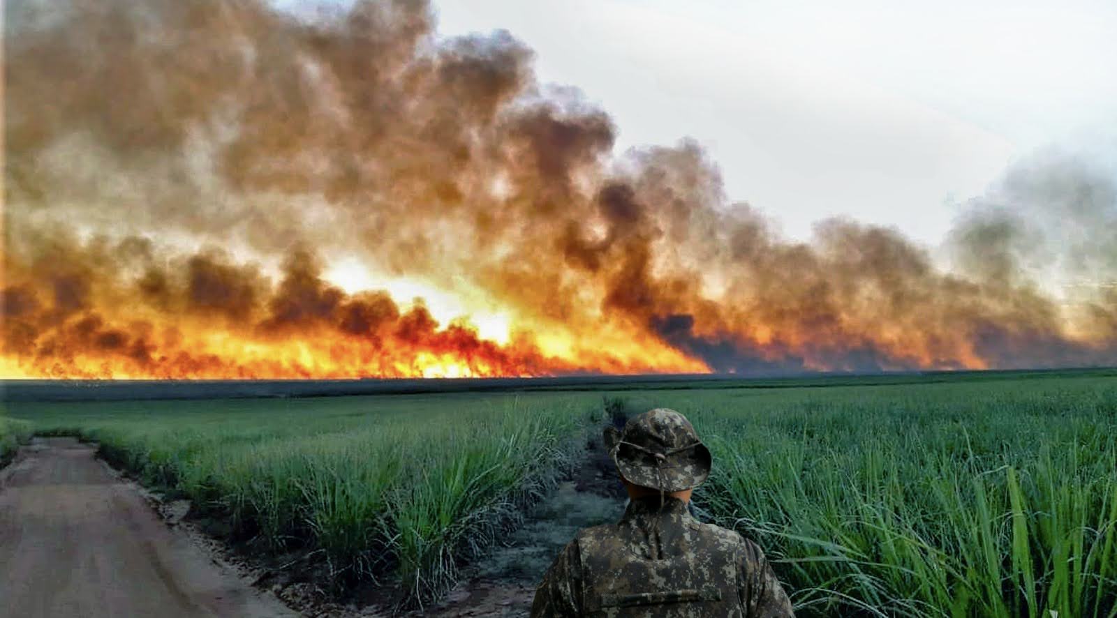 policia-militar-ambiental-intensifica-fiscalizacao-contra-queimadas-em-todo-o-estado-de-sp