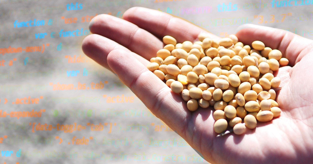 a-estrategia-chinesa-de-soberania-alimentar-e-seus-reflexos-no-brasil