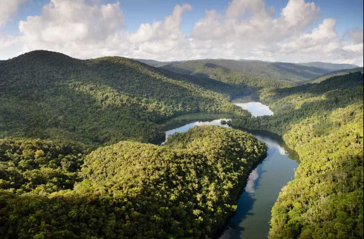 sao-paulo-registra-queda-de-29%-no-desmatamento-da-mata-atlantica-e-alcanca-menor-indice-dos-ultimos-anos