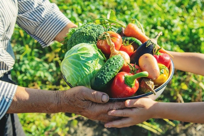 credito-do-bndes-para-agricultura-familiar-aumenta-277%-no-norte-e-nordeste