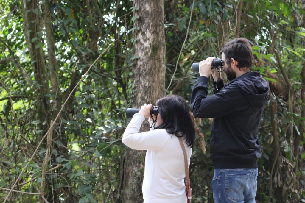 governo-de-sp-participa-de-campanha-que-convida-populacao-a-escutar-as-aves-da-mata-atlantica