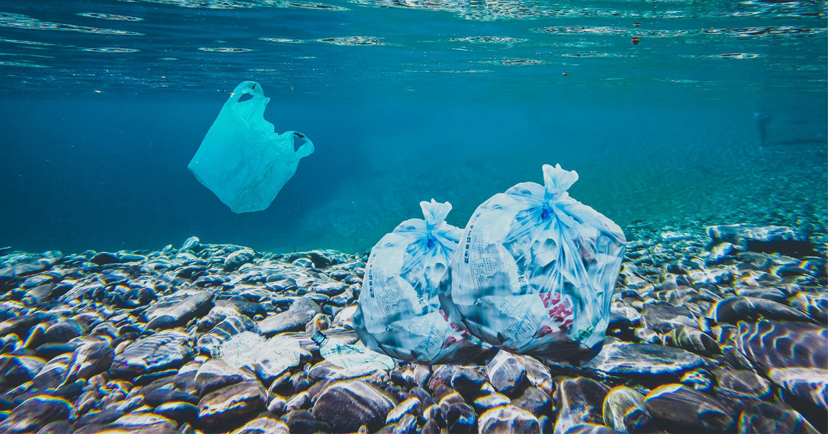 pesquisa-revela-presenca-de-microplasticos-e-poluentes-em-aguas-profundas
