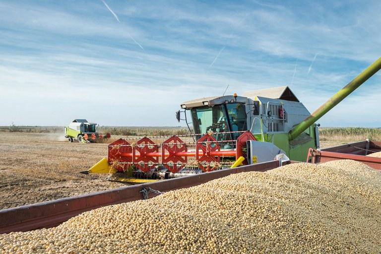 conab-estima-producao-recorde-de-graos-com-315,8-milhoes-de-toneladas