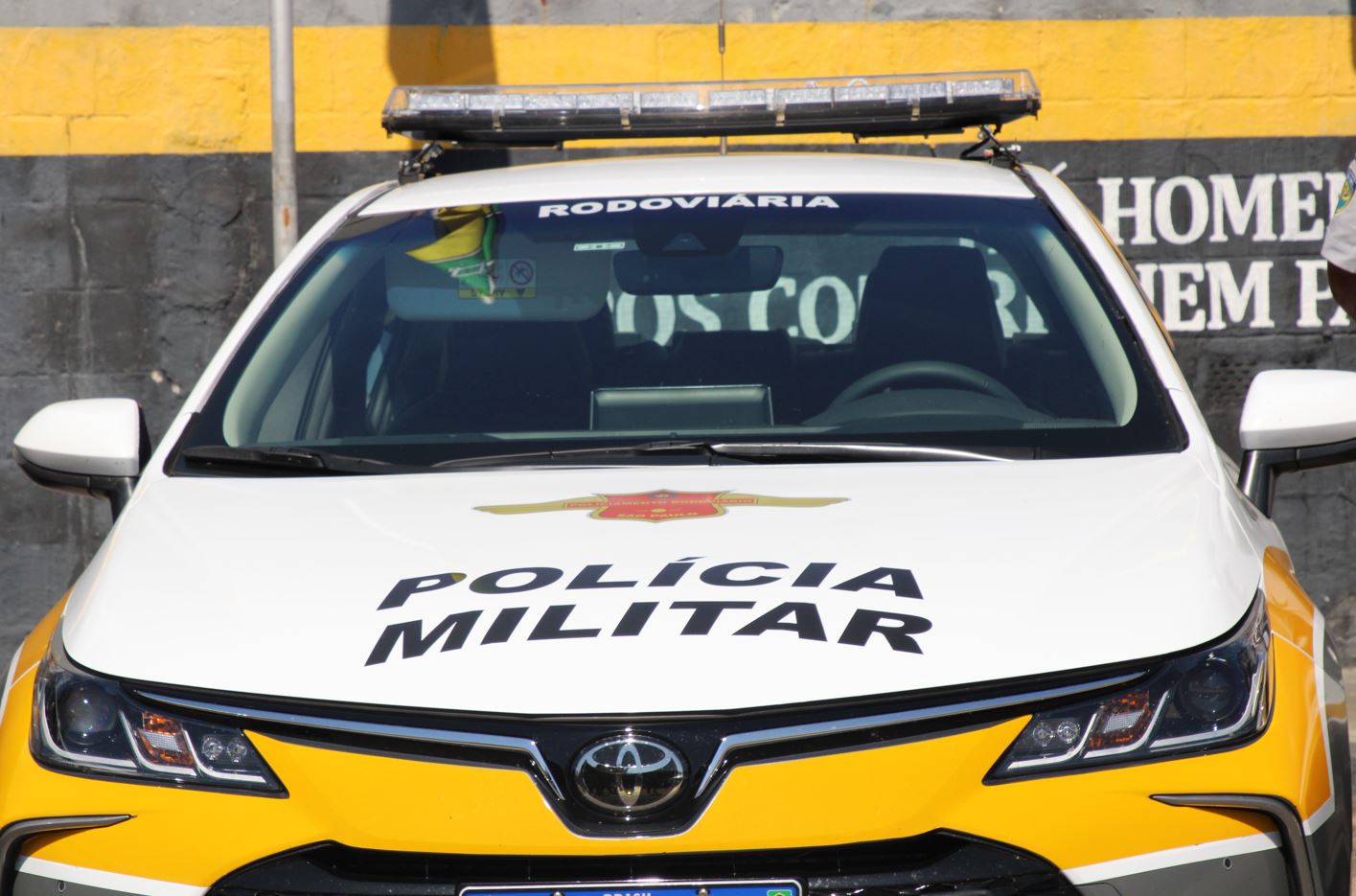 pm-rodoviaria-resgata-macaco-prego-transportado-ilegalmente-em-palmital