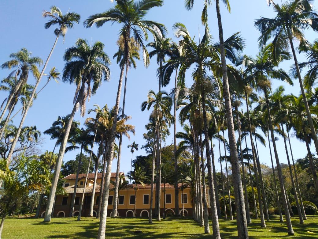 governo-de-sp-inicia-revitalizacao-da-principal-estrada-historica-de-visitacao-da-feena-com-material-reciclado