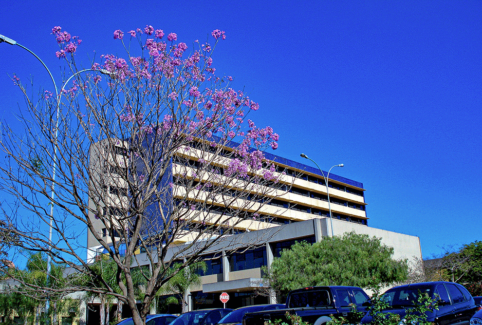 governo-de-sp-tem-sete-hospitais-estaduais-entre-os-dez-melhores-do-pais,-mostra-ranking-nacional-do-sus