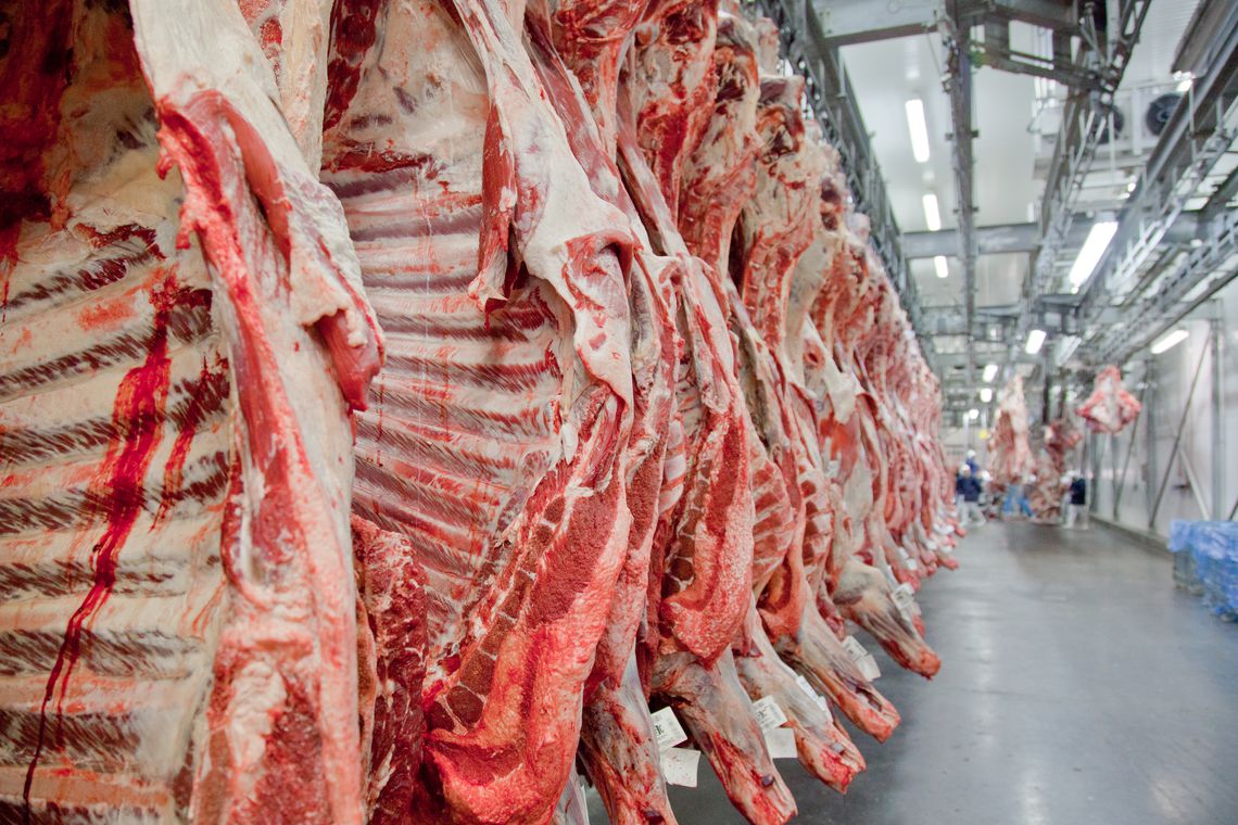 carne-in-natura