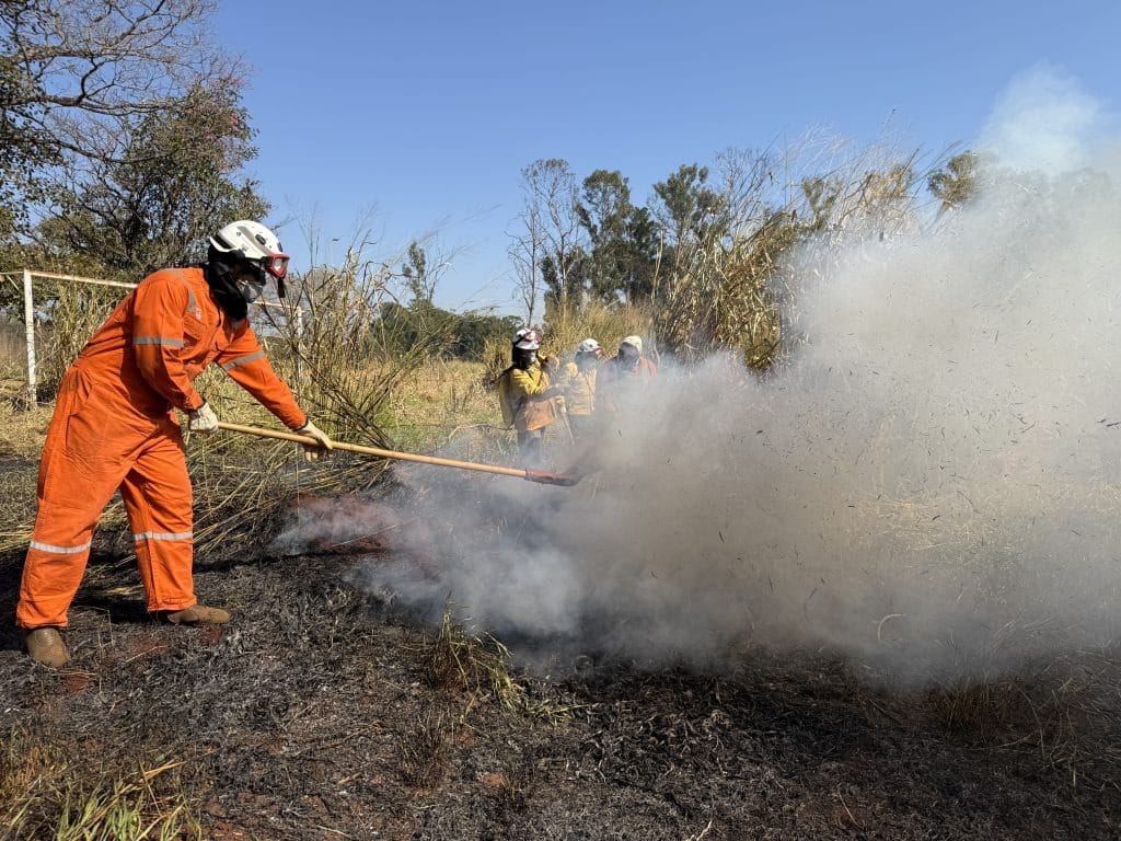 operacao-sao-paulo-sem-fogo-amplia-acoes-de-prevencao-e-combate-a-incendios-em-sp-com-monitoramento-via-satelite
