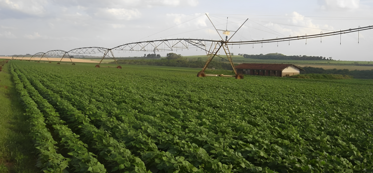 startup-apoiada-pela-fapesp-usa-inteligencia-de-dados-para-antecipar-falta-de-agua-no-campo