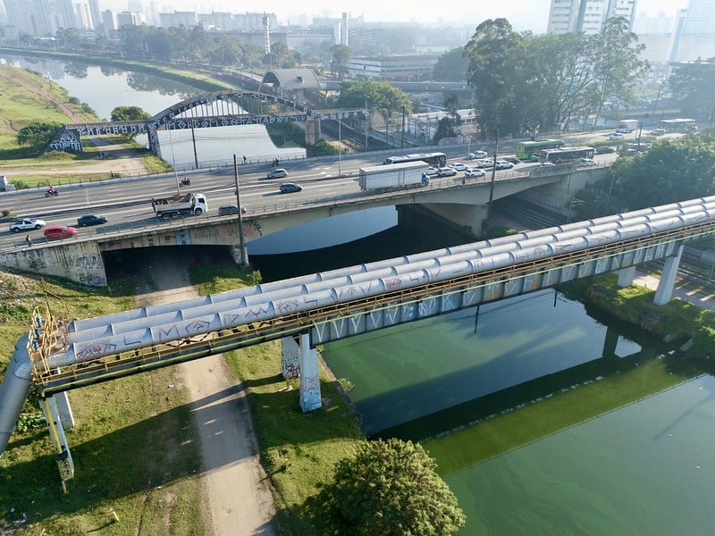 melhora-no-cheiro-e-mais-animais:-como-a-despoluicao-do-rio-pinheiros-e-percebida-por-quem-frequenta-a-ciclovia