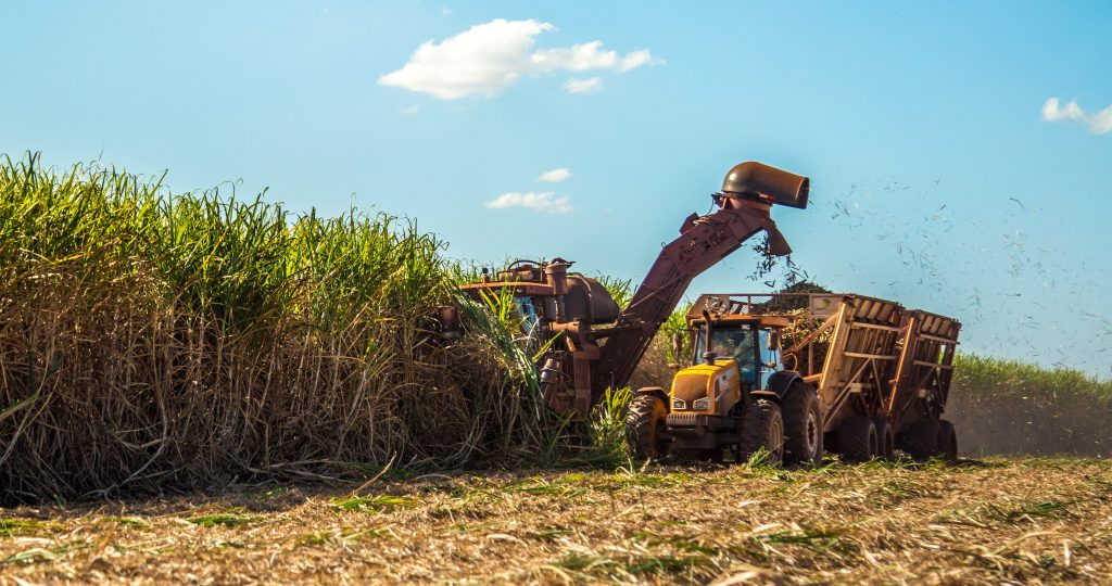 superavit-do-agro-paulista-registra-mais-de-us$-8-bilhoes-em-cinco-meses