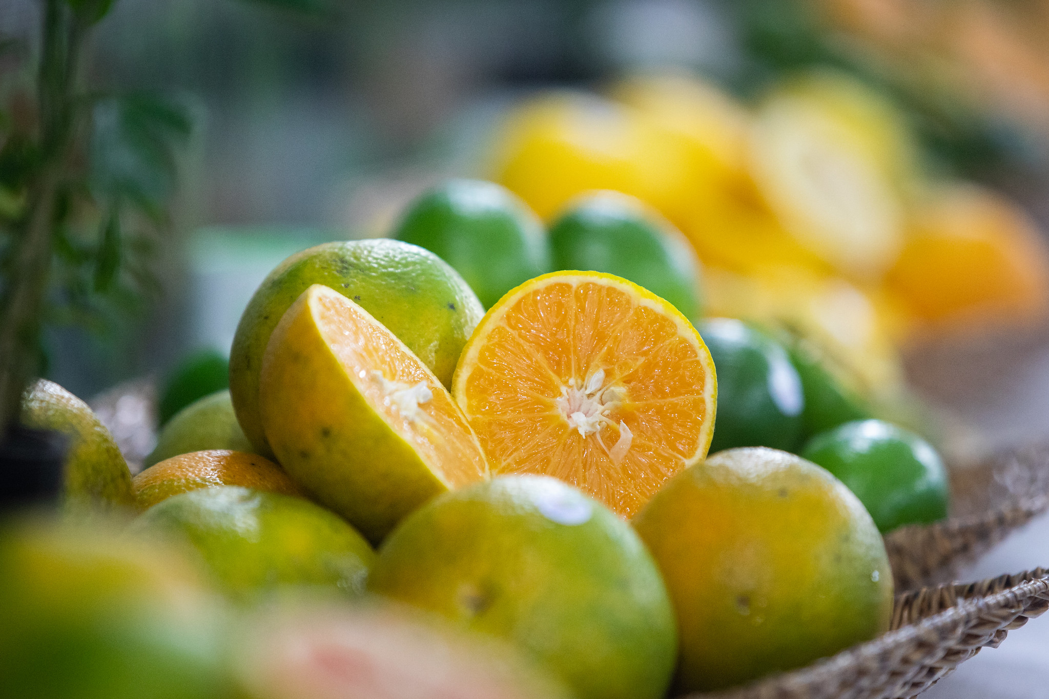 citricultura:-produtores-de-sp-tem-ate-15-de-julho-para-entregar-relatorio-cancro/greening-do-1o-semestre