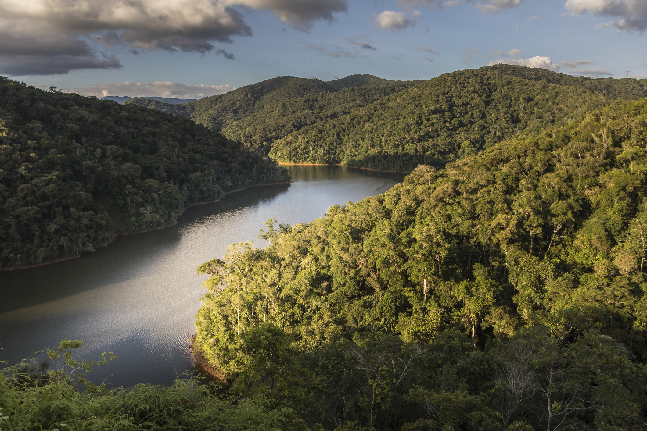 com-fortalecimento-da-conservacao-ambiental-pelo-governo-de-sp,-mata-atlantica-tem-recorde-de-registros-de-fauna-em-areas-protegidas