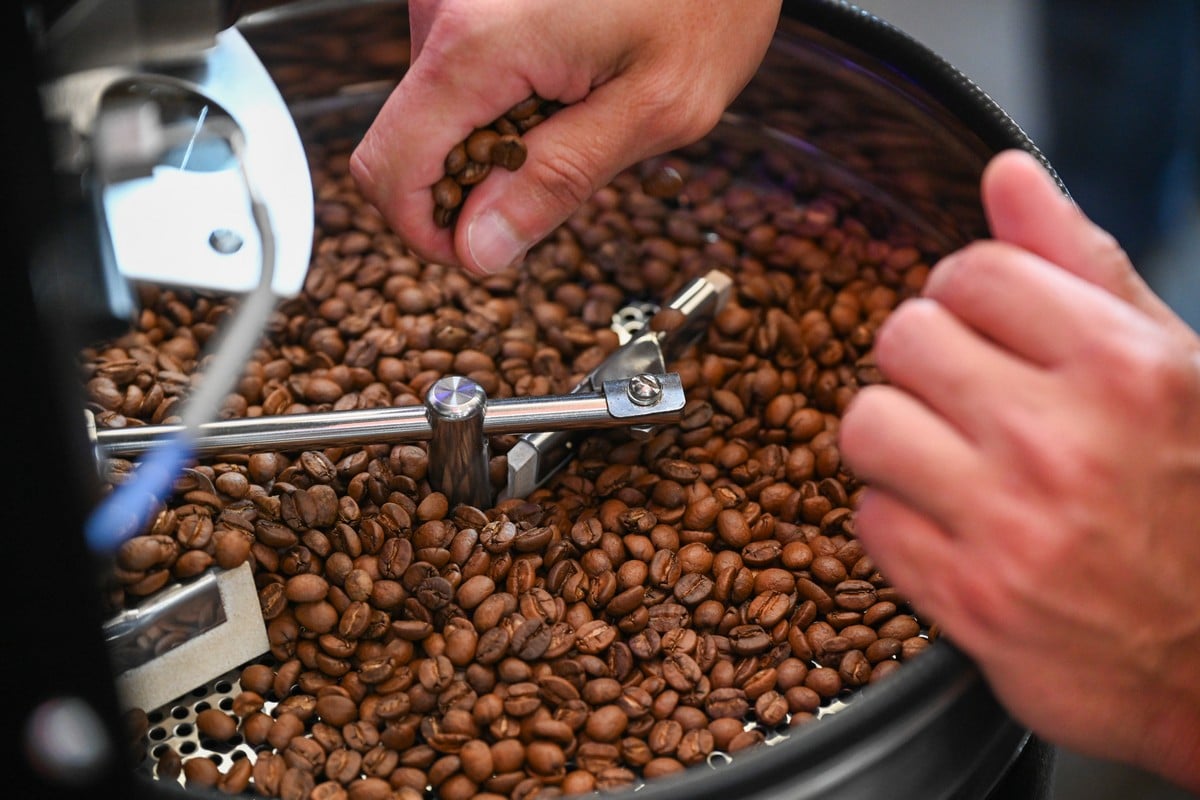 sp-leva-rotas-do-cafe-ao-sao-paulo-coffee-festival-e-promove-produtores-paulistas