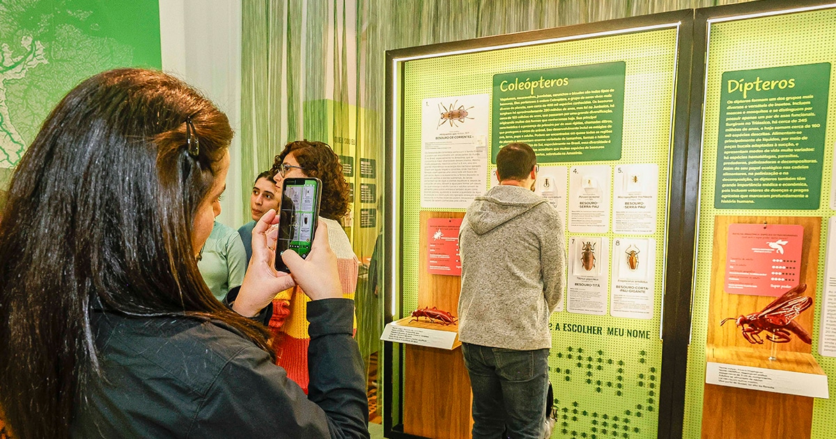 exposicao-no-museu-de-zoologia-explora-a-grandiosidade-da-amazonia-a-partir-das-pequenas-especies