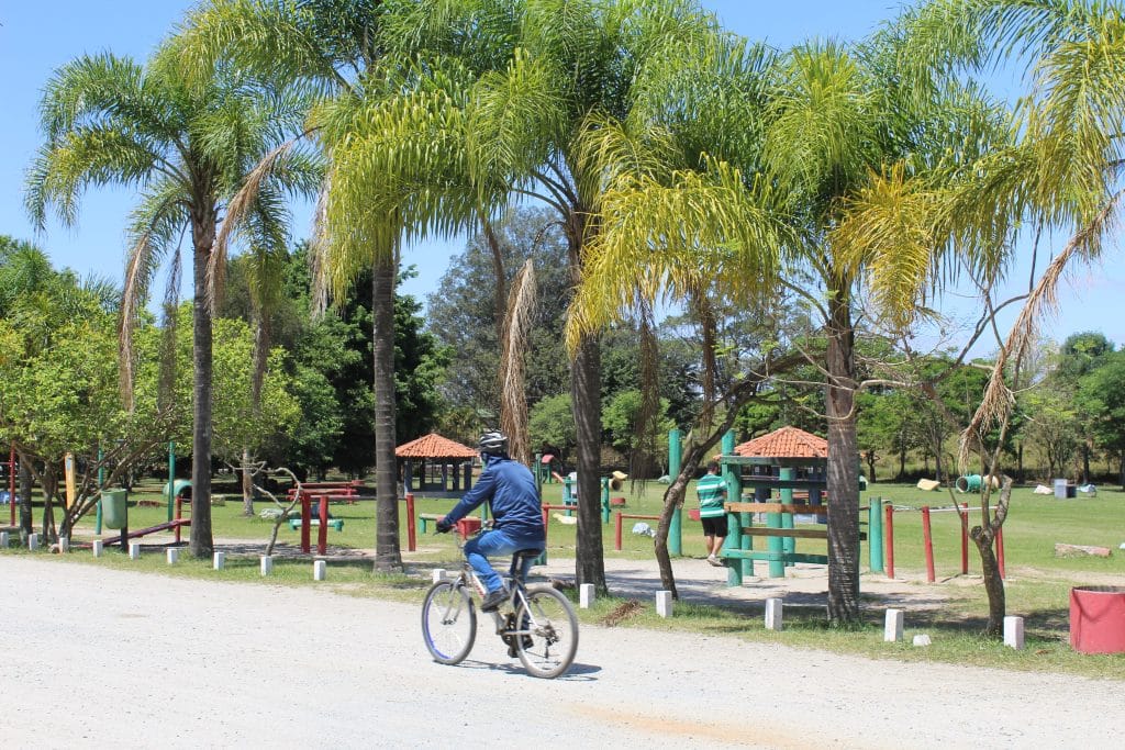 parques-estaduais-de-sp-viram-palco-de-trilhas,-oficinas-e-brincadeiras-nas-ferias-de-julho