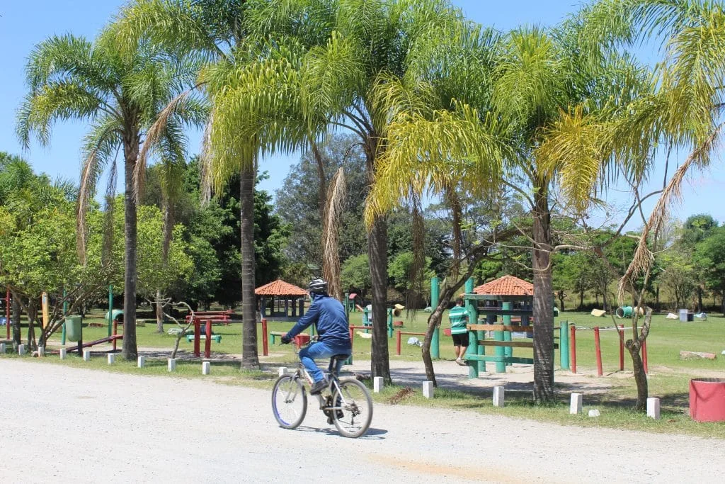parques-estaduais-de-sp-recebem-trilhas,-oficinas-e-brincadeiras-nas-ferias-de-julho