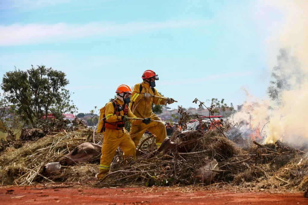 veja-como-evitar-incendios-durante-a-fase-vermelha-para-o-periodo-de-estiagem-em-sao-paulo
