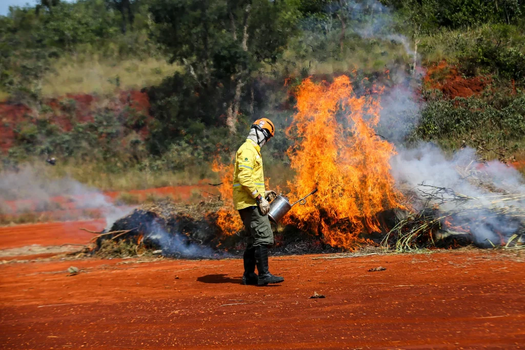 acao-humana-e-a-principal-causa-de-incendios;-confira-dicas-da-defesa-civil