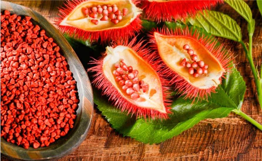 colorau-alem-do-tempero:-conheca-a-planta-brasileira-mais-usada-pela-industria-para-dar-cor-aos-alimentos