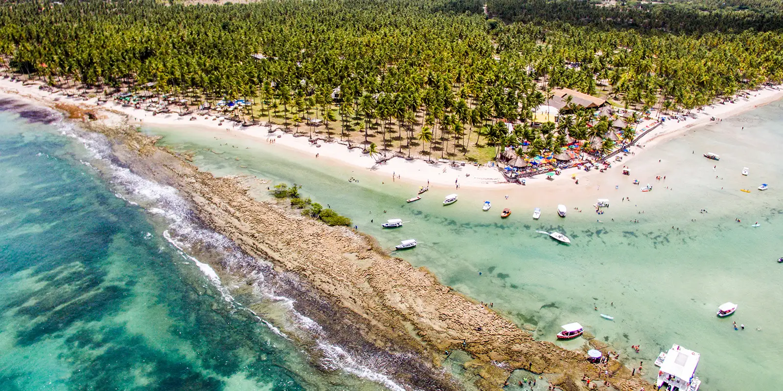 barulho-de-barco-e-de-turistas-afeta-comunicacao-de-peixes,-diz-estudo