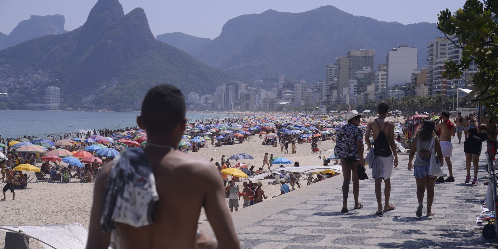 cndh-manifesta-preocupacao-com-camelos-apos-programa-tolerancia-zero