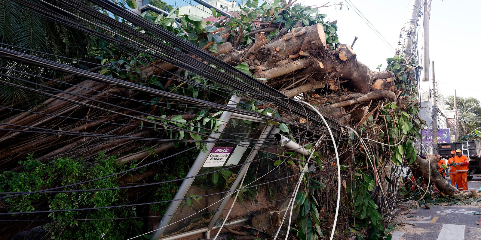 mais-de-200-mil-continuam-sem-energia-no-rio-apos-vendaval
