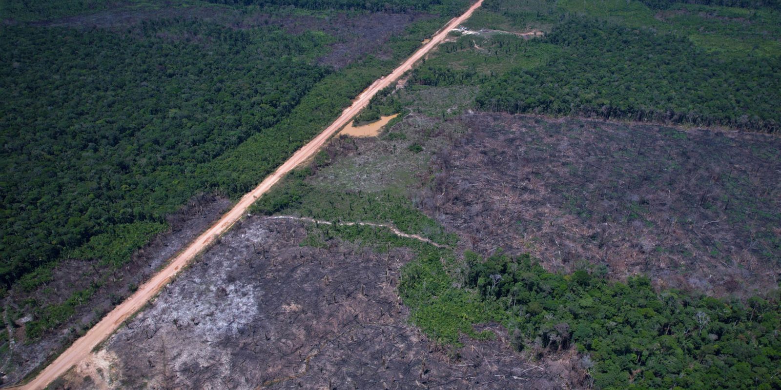 desmatamento-na-amazonia-cai-36,87%-no-ultimo-ano