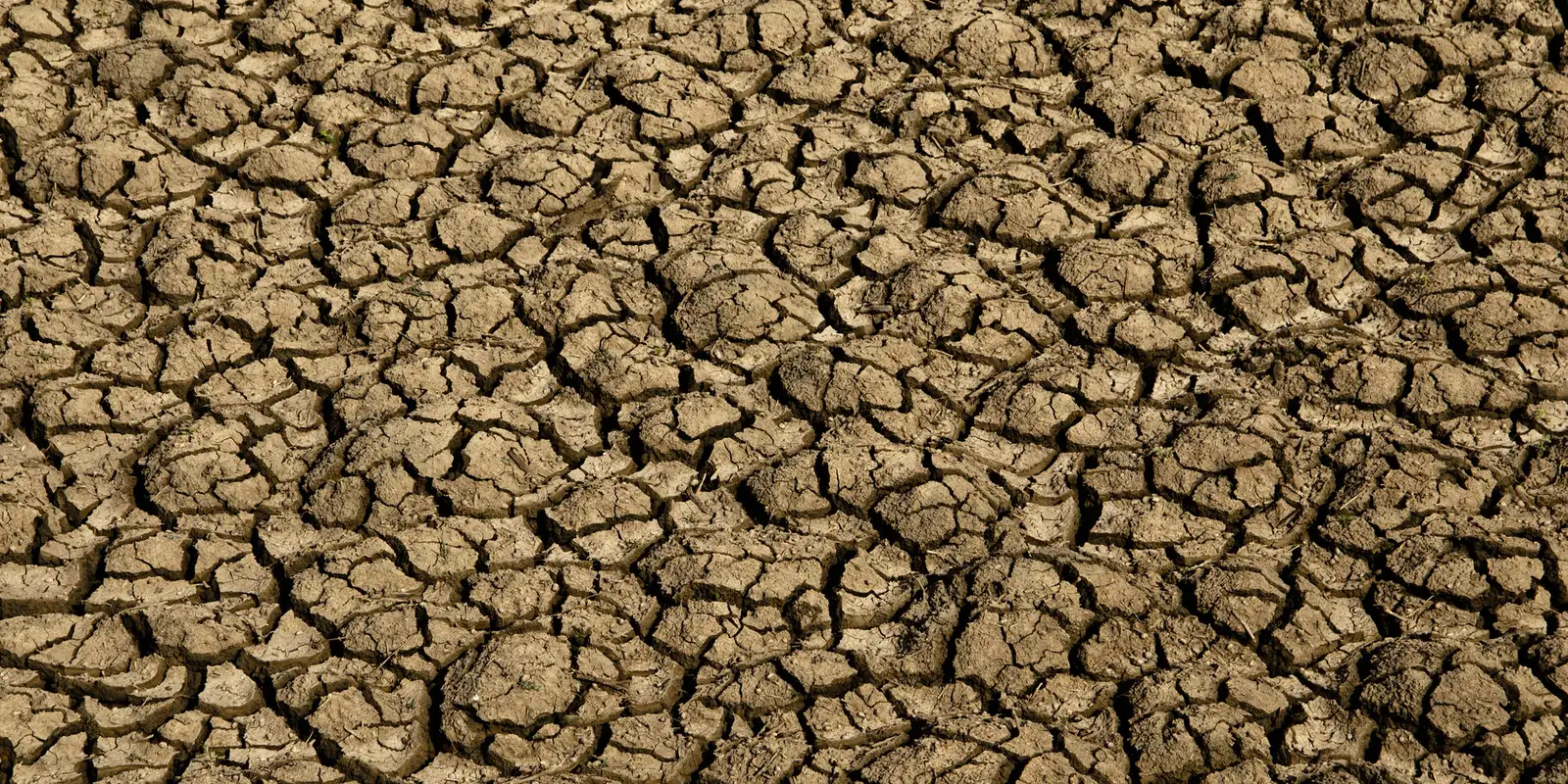 risco-de-desertificacao-no-brasil-ameaca-seguranca-hidrica-e-alimentar