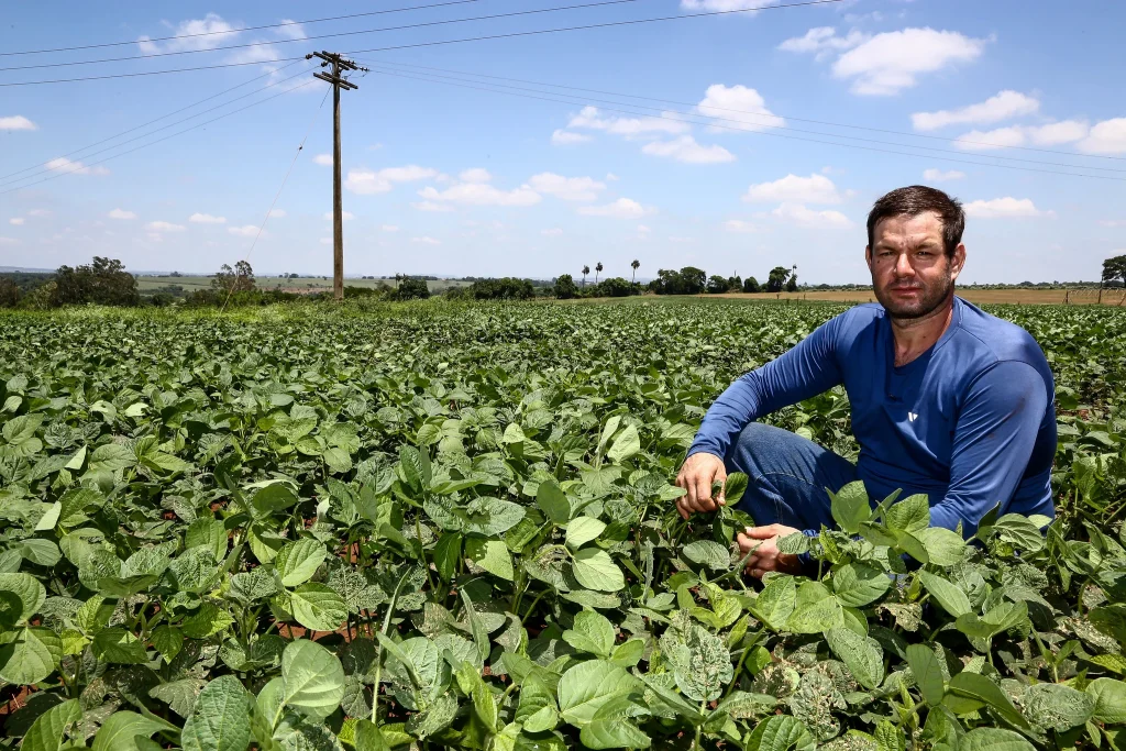 credito-rural:-conheca-os-programas-de-financiamento-e-saiba-como-solicitar