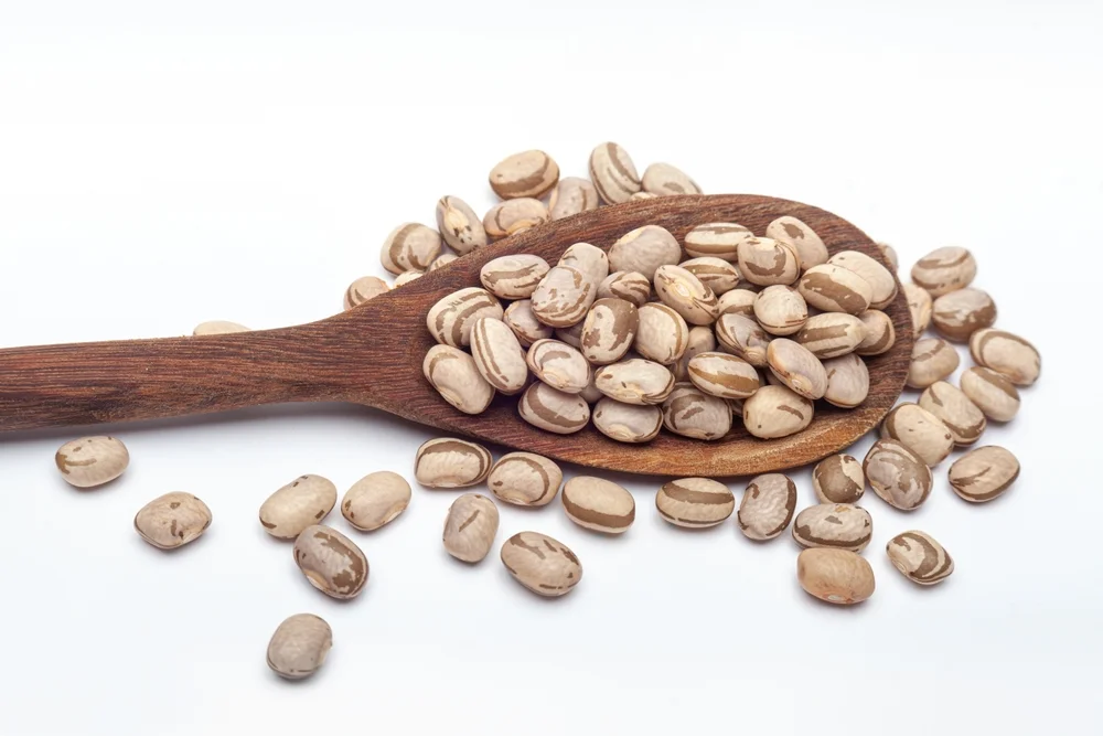 como-pesquisadores-transformam-o-feijao-carioca-em-ingrediente-proteico-de-alto-valor