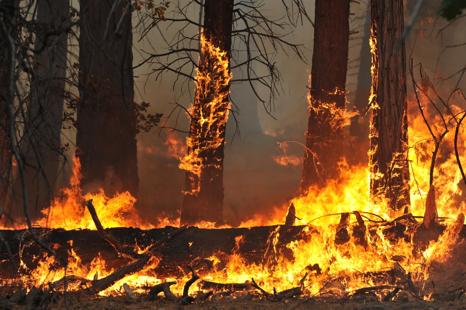 descuidos-que-viram-incendio:-confira-os-erros-mais-comuns-nas-propriedades-rurais