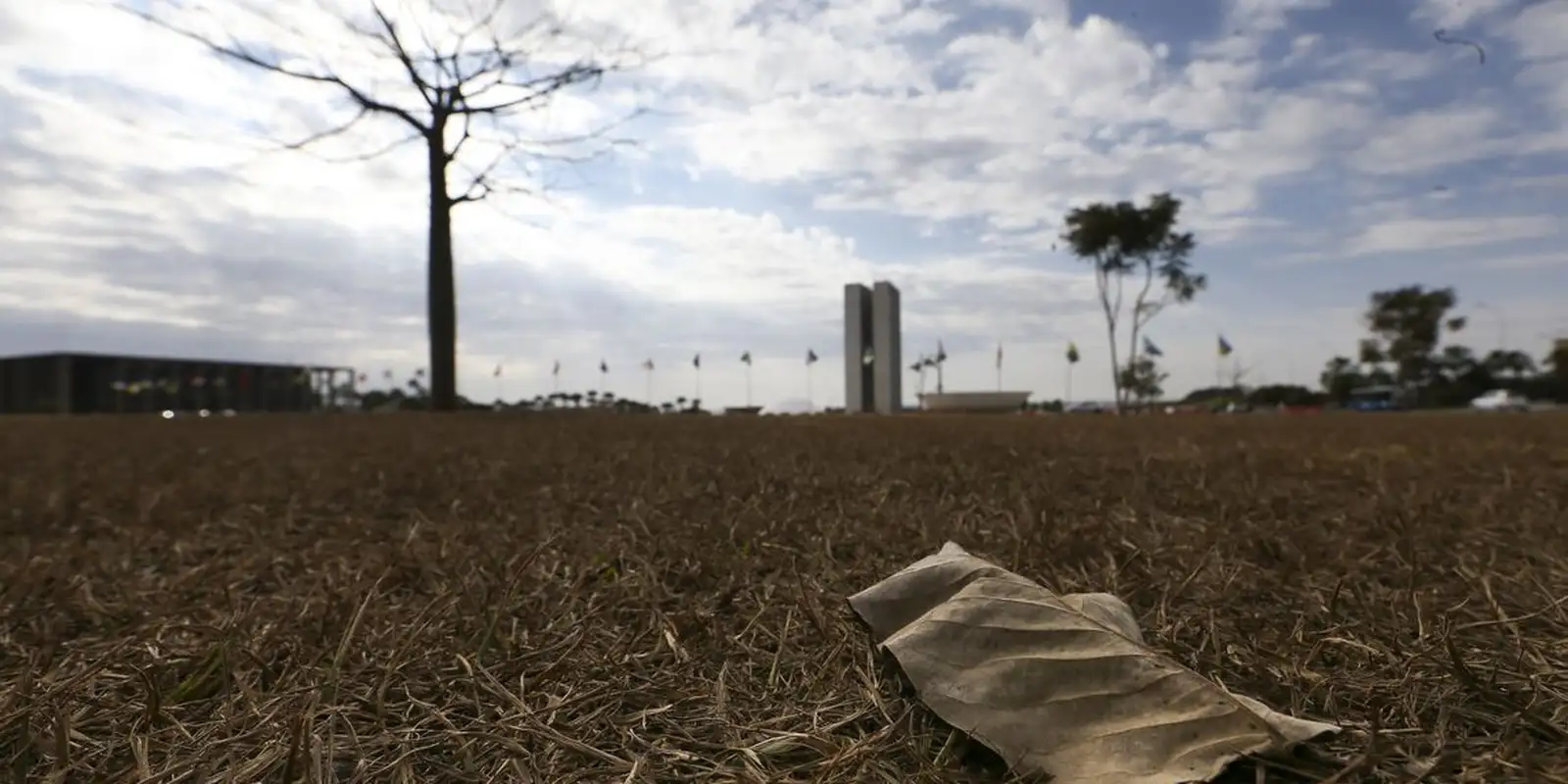 aquecimento-alem-de-1,5°c-ameaca-saude,-agricultura-e-economia